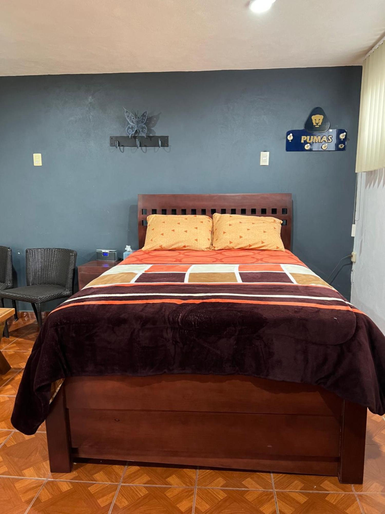 Homestay Comoda En Coyoacan Mexico City